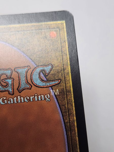 画像4: 【Foil】《霧深い雨林/Misty Rainforest》[EXP] NM- (4)