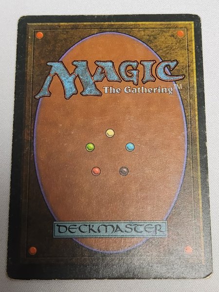 画像2: ドイツ語《Volcanic Island》[3ED]  HP (2)