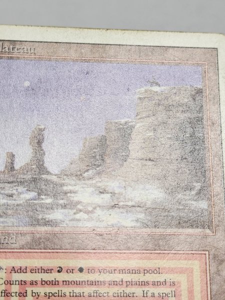 画像3: 《Plateau》[3ED]  HP (3)