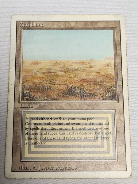 画像1: 《Scrubland》[3ED] HP (1)