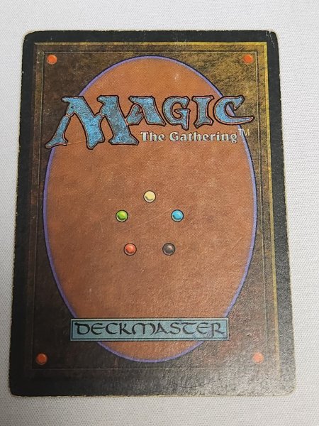 画像2: 《Scrubland》[3ED] HP (2)