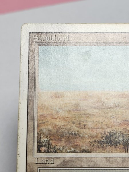 画像3: 《Scrubland》[3ED] HP (3)