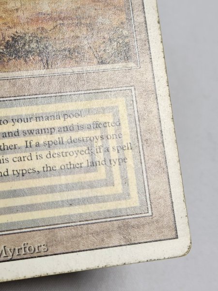 画像5: 《Scrubland》[3ED] HP (5)