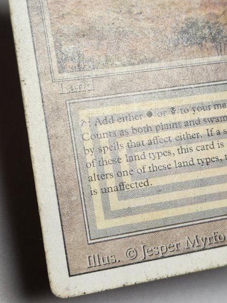 画像6: 《Scrubland》[3ED] HP (6)