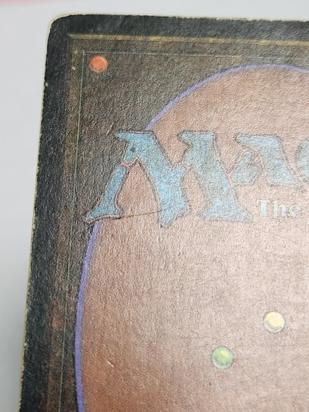 画像7: 《Scrubland》[3ED] HP (7)