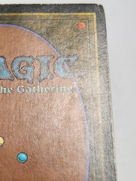 画像8: 《Scrubland》[3ED] HP (8)