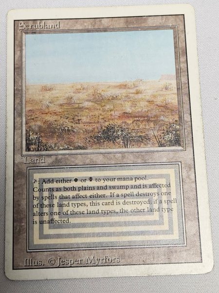 画像1: 《Scrubland》[3ED] HP (1)