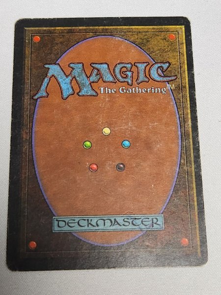 画像2: 《Scrubland》[3ED] HP (2)