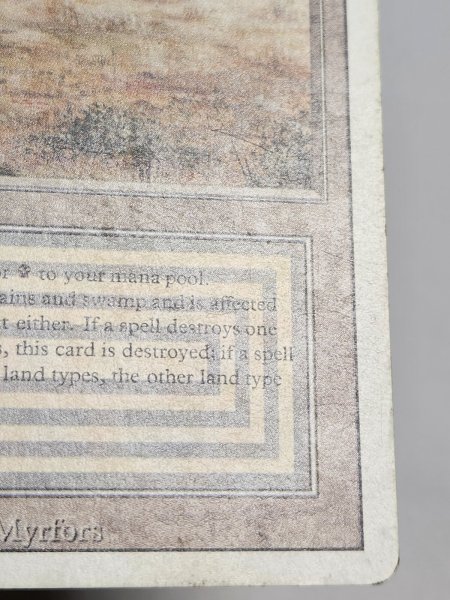 画像5: 《Scrubland》[3ED] HP (5)