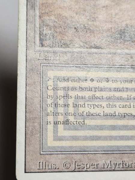 画像6: 《Scrubland》[3ED] HP (6)