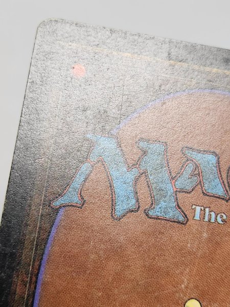 画像7: 《Scrubland》[3ED] HP (7)