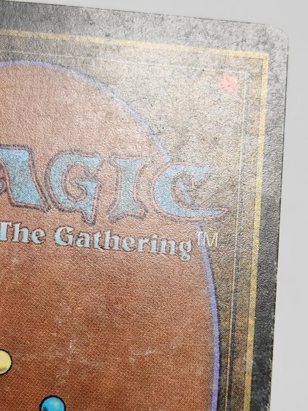 画像8: 《Scrubland》[3ED] HP (8)