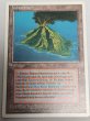 画像1: ドイツ語《Volcanic Island》[3ED]  SP (1)