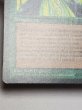 画像4: イタリア語《Eureka》[LEG]  NM (4)