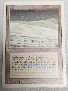 デュアルランド/Dual Land - MTG専門店 Initiative