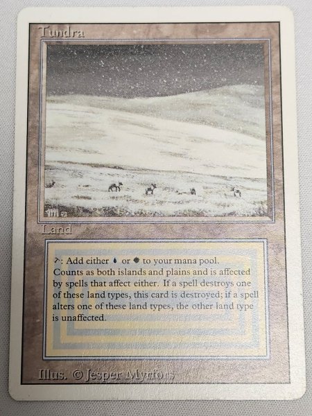 画像1: 《Tundra》[3ED] SP (1)