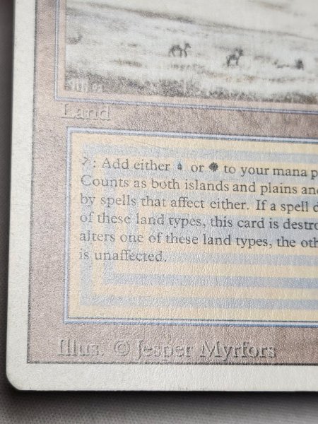 画像3: 《Tundra》[3ED] SP (3)