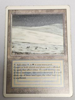 デュアルランド/Dual Land - MTG専門店 Initiative