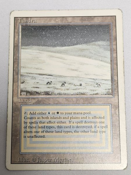 画像1: 《Tundra》[3ED] MP (1)