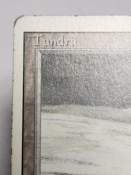 画像3: 《Tundra》[3ED] MP (3)