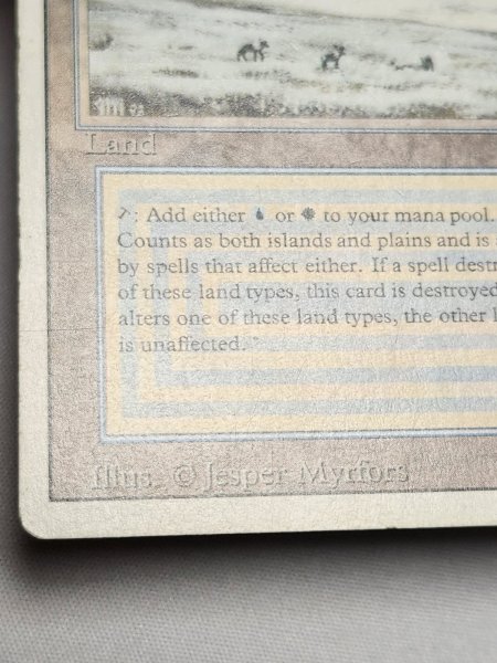 画像5: 《Tundra》[3ED] MP (5)