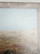 画像3: 《Scrubland》[3ED]  SP (3)