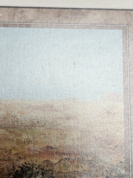 画像3: 《Scrubland》[3ED]  SP (3)