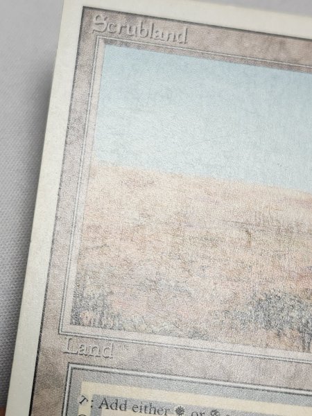 画像3: 《Scrubland》[3ED]  MP (3)