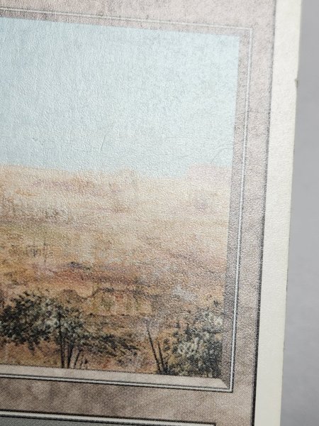 画像4: 《Scrubland》[3ED]  MP (4)