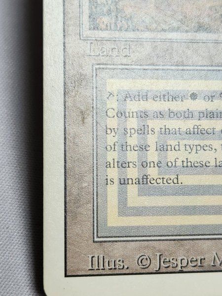 画像5: 《Scrubland》[3ED]  MP (5)