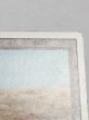 画像3: 《Scrubland》[3ED]  MP (3)