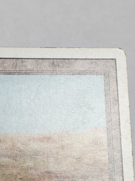 画像3: 《Scrubland》[3ED]  MP (3)
