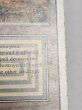 画像4: 《Scrubland》[3ED]  MP (4)
