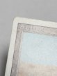 画像3: 《Scrubland》[3ED]  MP (3)