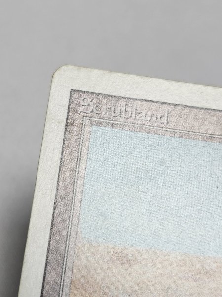 画像3: 《Scrubland》[3ED]  MP (3)