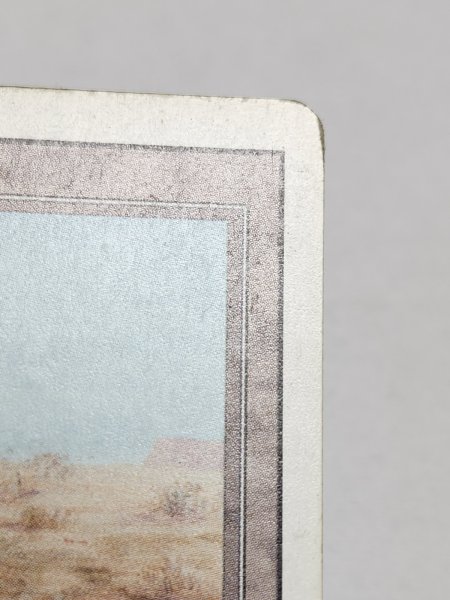 画像4: 《Scrubland》[3ED]  MP (4)