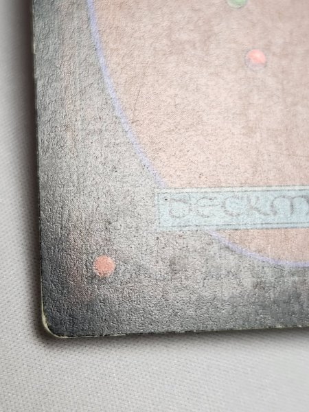 画像8: 《Scrubland》[3ED]  MP (8)