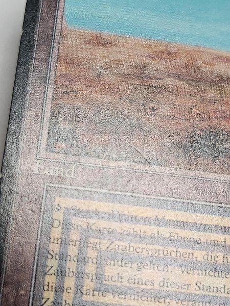 画像3: ドイツ語《Scrubland》[FBB] MP (3)