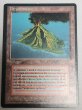 画像1: フランス語《Volcanic Island》[FBB] MP (1)