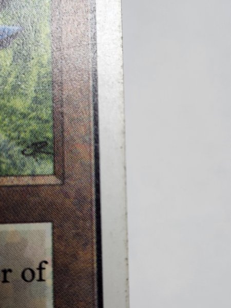 画像5: 《Black Lotus》[2ED] MP (5)
