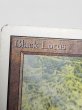 画像6: 《Black Lotus》[2ED] MP (6)