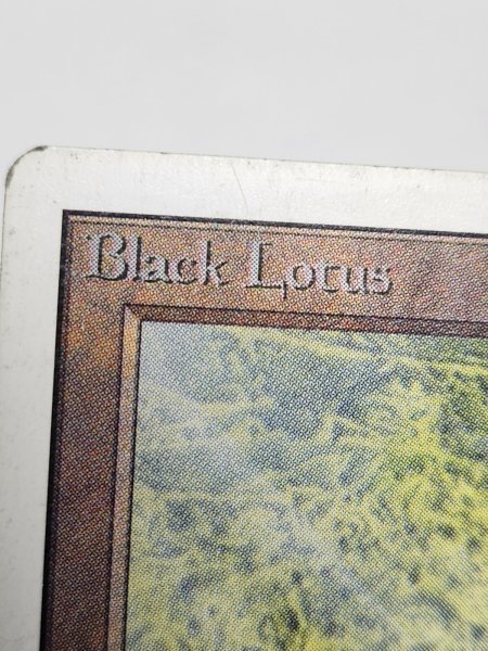 画像6: 《Black Lotus》[2ED] MP (6)