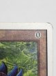 画像7: 《Black Lotus》[2ED] MP (7)