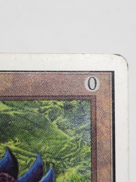 画像7: 《Black Lotus》[2ED] MP (7)