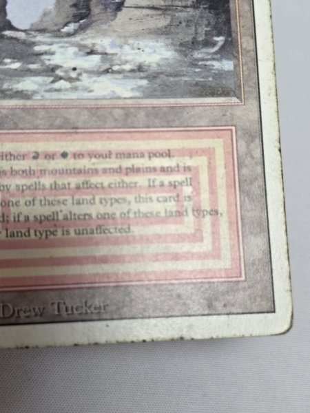 画像5: 《Plateau》[3ED] HP (5)