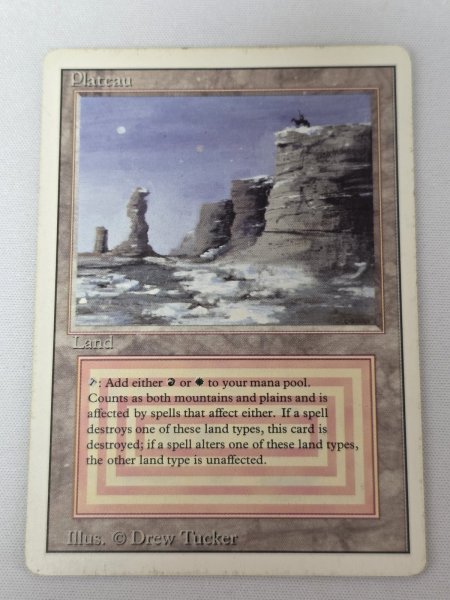 画像1: 《Plateau》[3ED] HP (1)