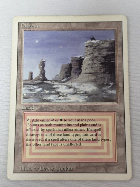 画像2: 《Plateau》[3ED] HP (2)