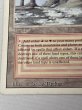 画像5: 《Plateau》[3ED] HP (5)