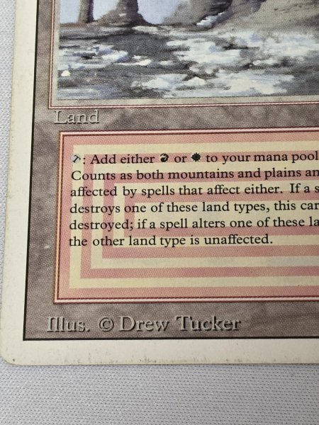 画像5: 《Plateau》[3ED] HP (5)