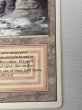 画像6: 《Plateau》[3ED] HP (6)